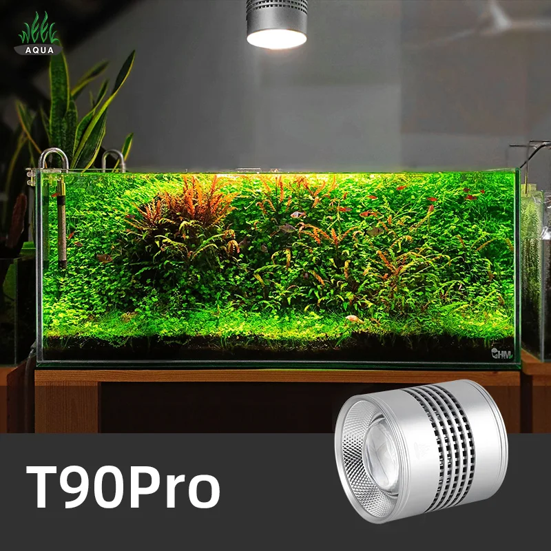 Aquarium Plant Not Growing - Woche Aqua T Serie T90 Pro