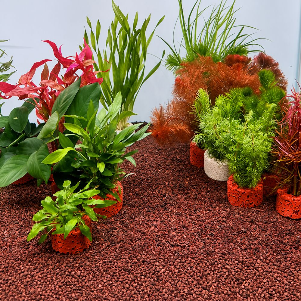Planted Aquarium Pictures - 10 Stück Gewichtete Ringe für Wasserpflanzen,