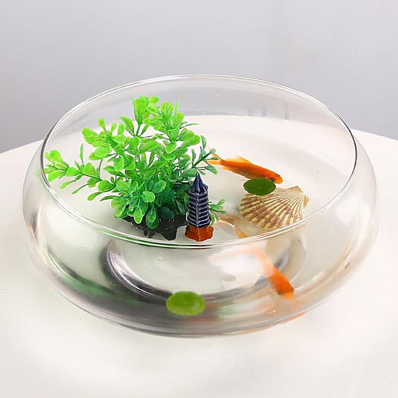 Planted Aquarium For Goldfish - Fischglasbehälter Großer Hydrokultur-Blumentopf Flacher Runder Breiter