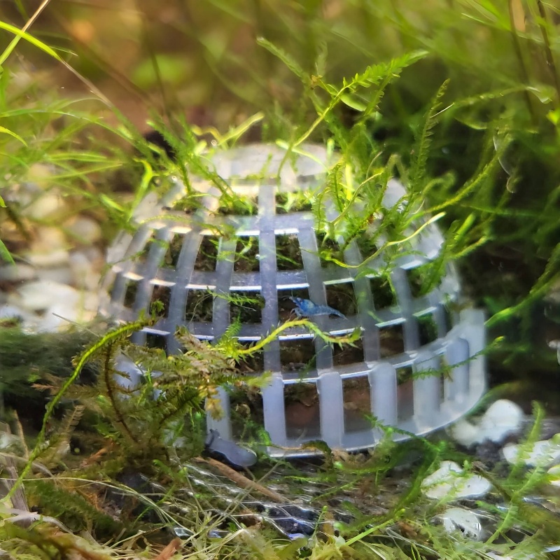 Planted Aquarium Models - 2 Stück Aquarium-Moosball-Halter, DIY-Moosball-Form für Aquarien,