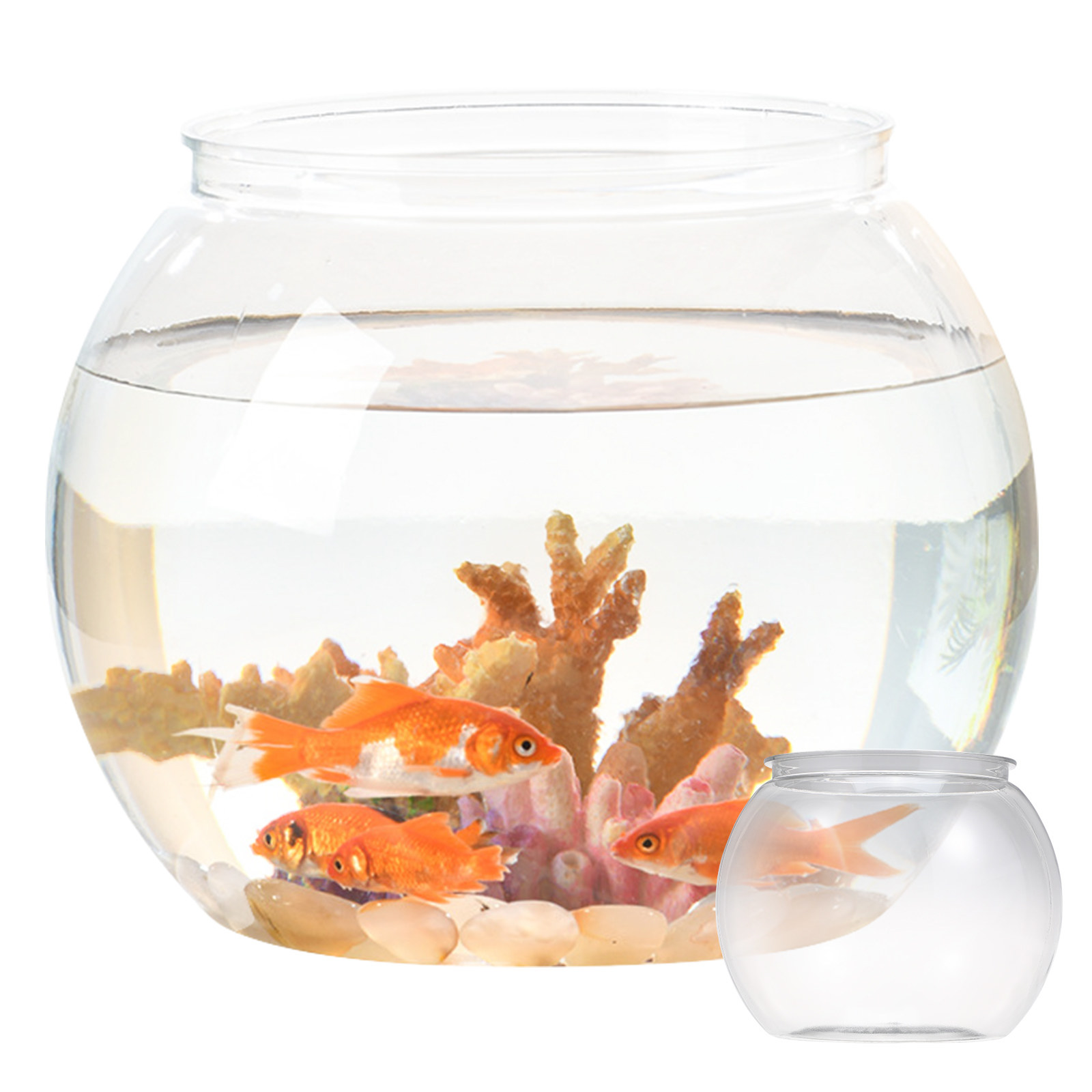 Rutschfestes Plastik-Fischbeck – Planted Aquarium For Goldfish Bewertung und Preis