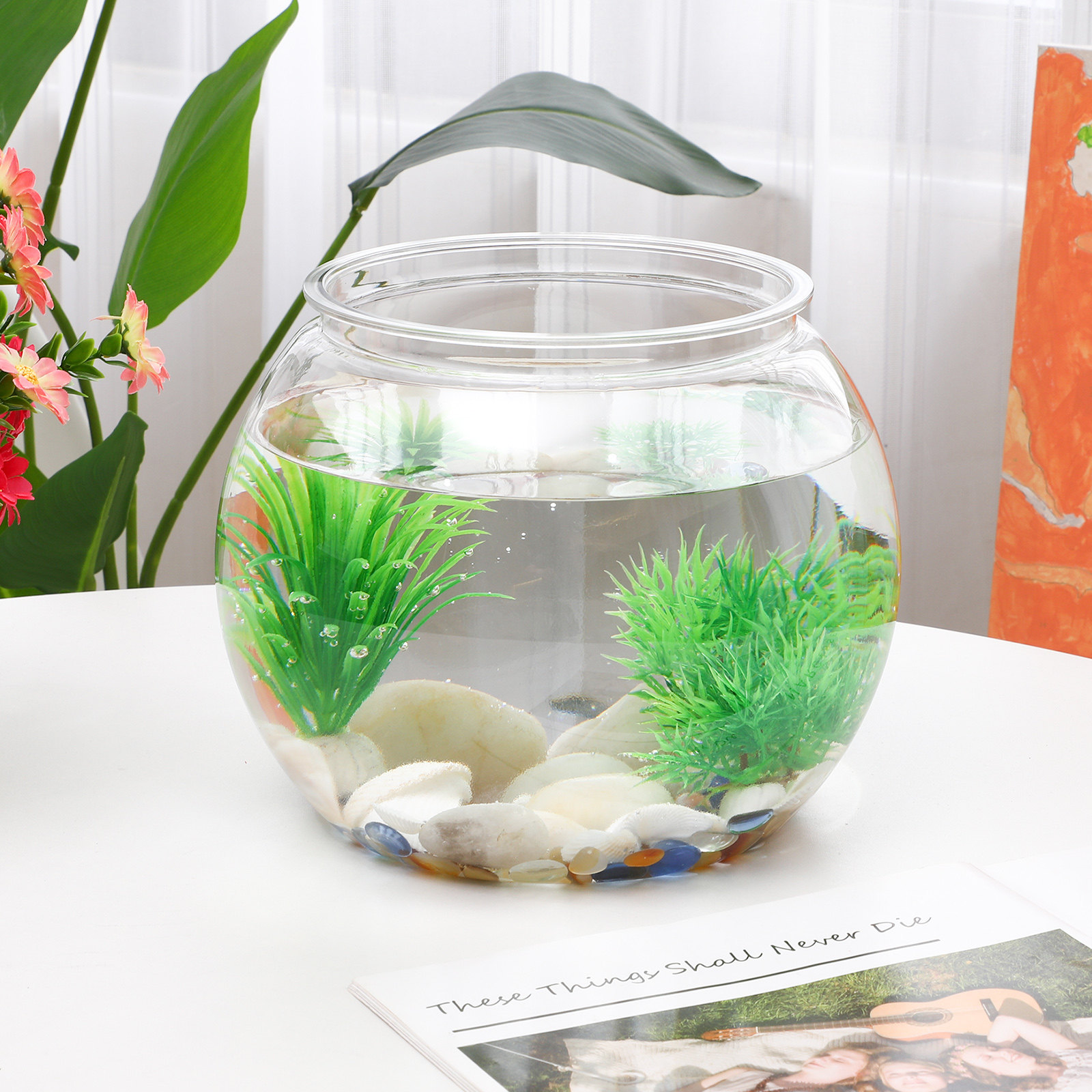 Rutschfestes Plastik-Fischbeck – Planted Aquarium For Goldfish Bewertung und Preis
