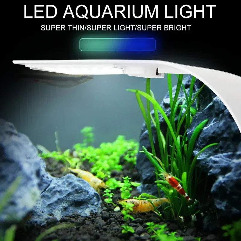 Ultradünnes LED-Aquariumlicht, – Planted Aquarium Pictures Bewertung und Preis