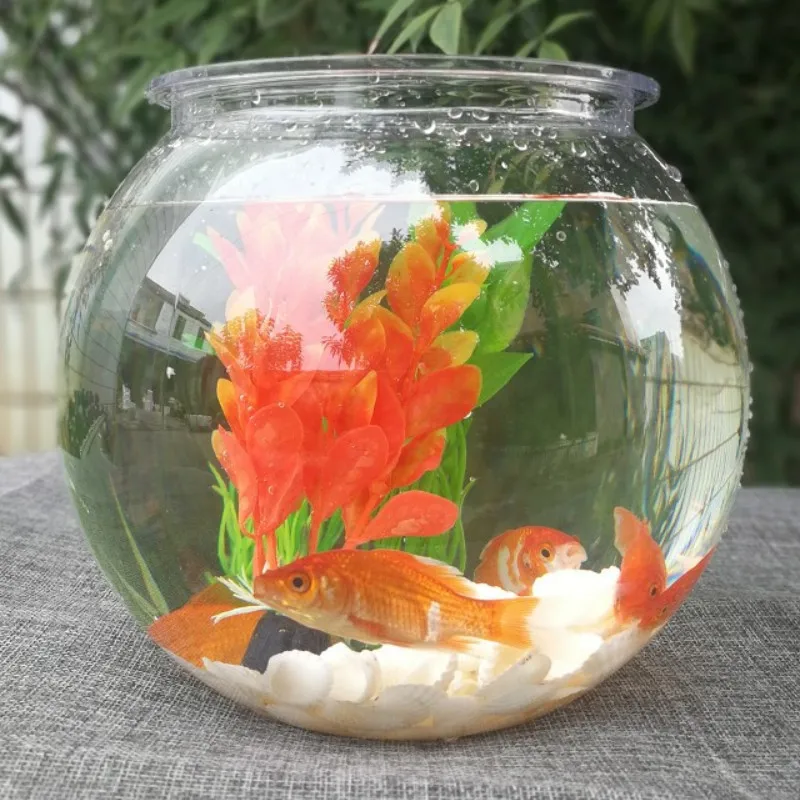 Goldfisch schüssel desktop tra – Planted Aquarium For Goldfish Bewertung und Preis