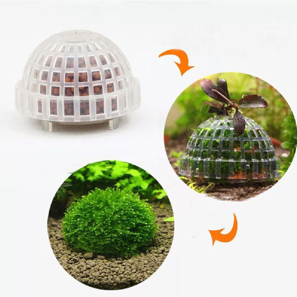 1pc Aquarium Moos Ball Halter  – Planted Aquarium Models Bewertung und Preis