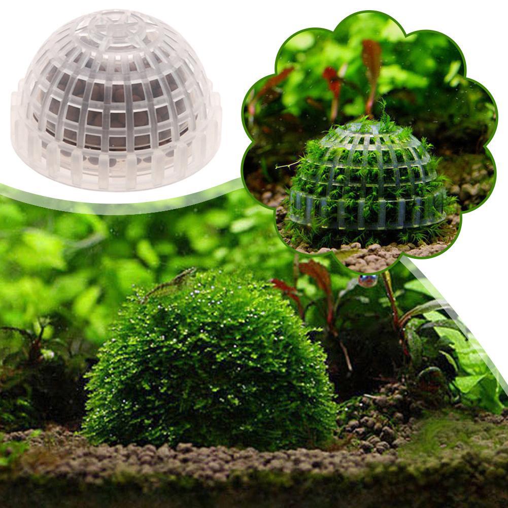1pc Aquarium Moos Ball Halter  – Planted Aquarium Models Bewertung und Preis