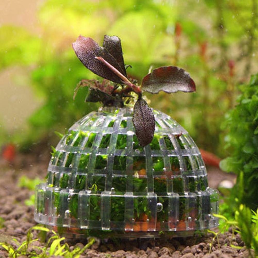 1pc Aquarium Moos Ball Halter  – Planted Aquarium Models Bewertung und Preis