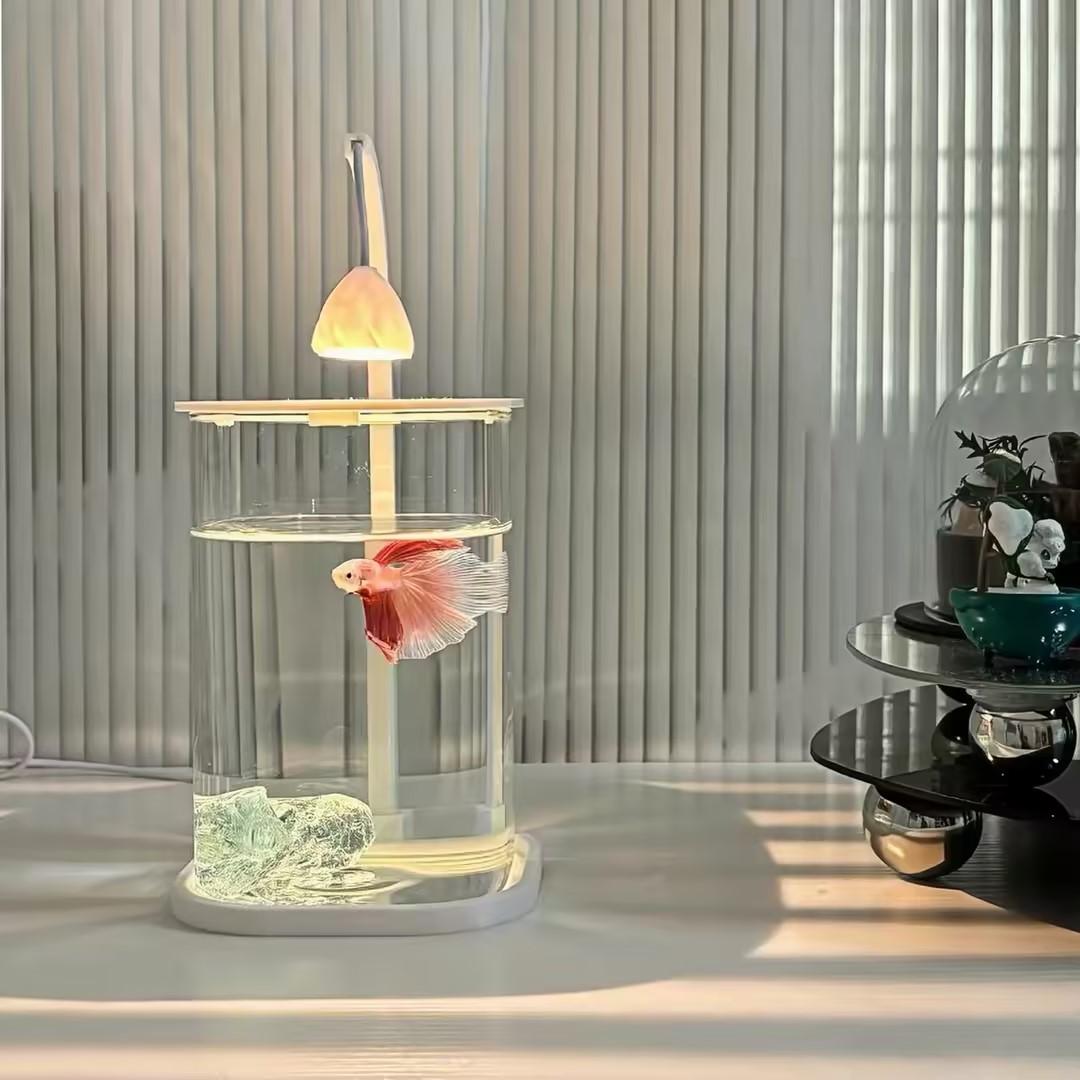360 °   Panoramisches Klares D – Planted Aquarium For Goldfish Bewertung und Preis