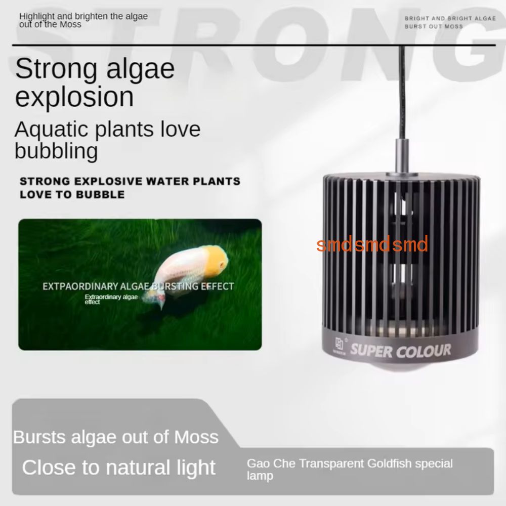 Super Color 100W Süßwasser-Gol – Planted Aquarium For Goldfish Bewertung und Preis
