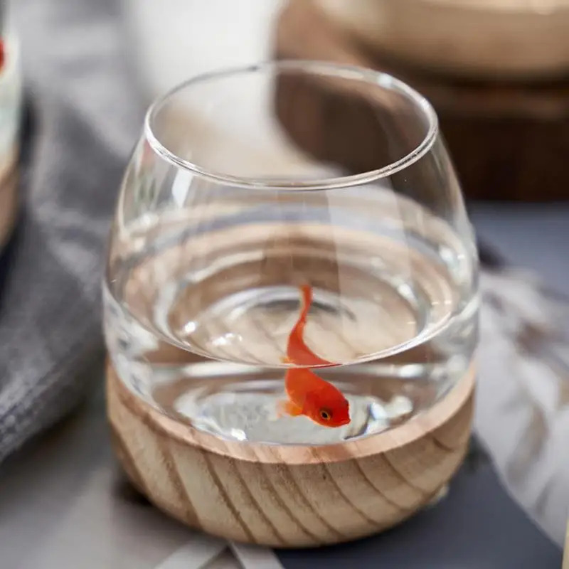 Dekoratives rundes Glas-Aquari – Planted Aquarium For Goldfish Bewertung und Preis