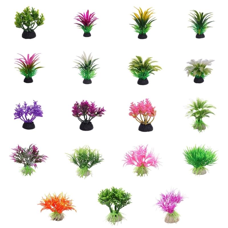 G6KF Fishtanks Wasserpflanzend – Planted Aquarium Models Bewertung und Preis
