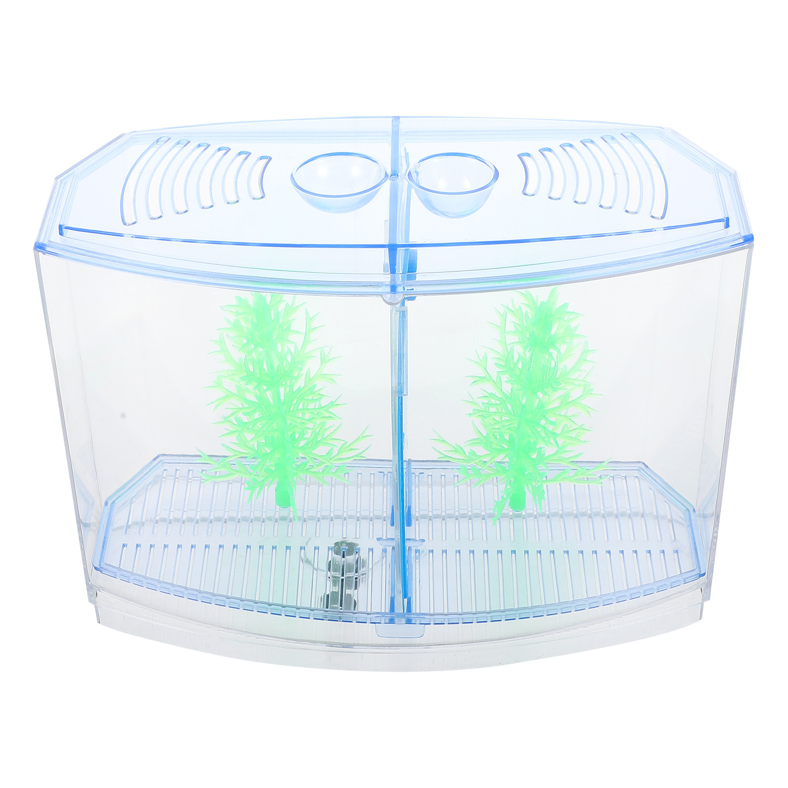1 Set Elegantes Transparentes  – Planted Aquarium For Goldfish Bewertung und Preis