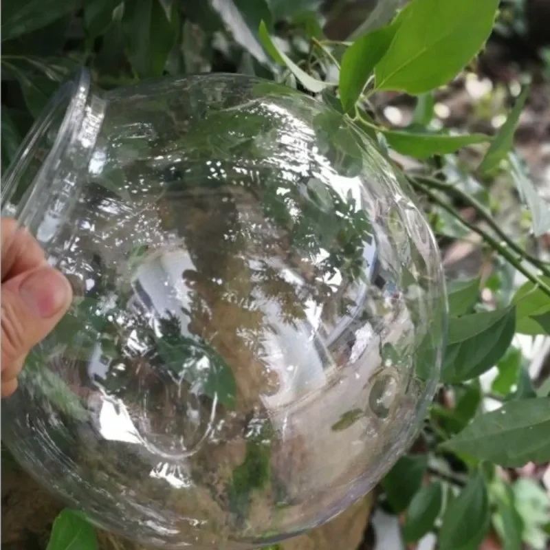 Goldfischglas, transparentes K – Planted Aquarium For Goldfish Bewertung und Preis