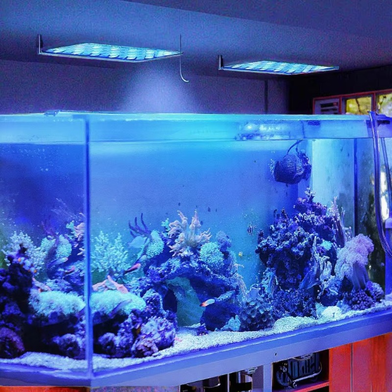 165W Dimmbares WLAN-App-gesteu – Planted Aquarium Models Bewertung und Preis