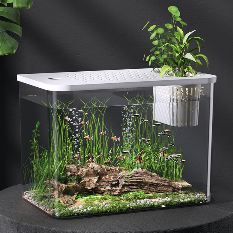 Kunststoff-Aquarium mit Deckel – Planted Aquarium For Goldfish Bewertung und Preis