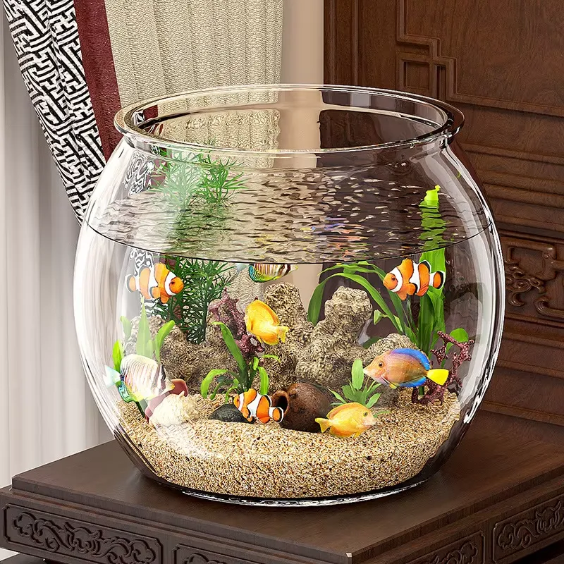 Hochwertiges Kompaktes Klarsic – Planted Aquarium For Goldfish Bewertung und Preis