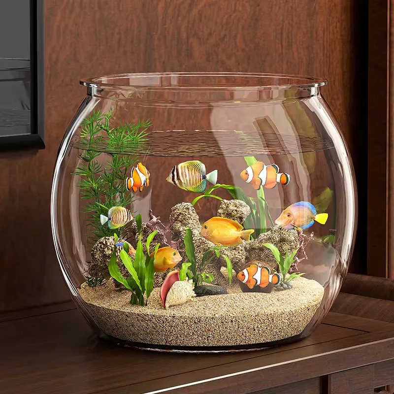Hochwertiges Kompaktes Klarsic – Planted Aquarium For Goldfish Bewertung und Preis