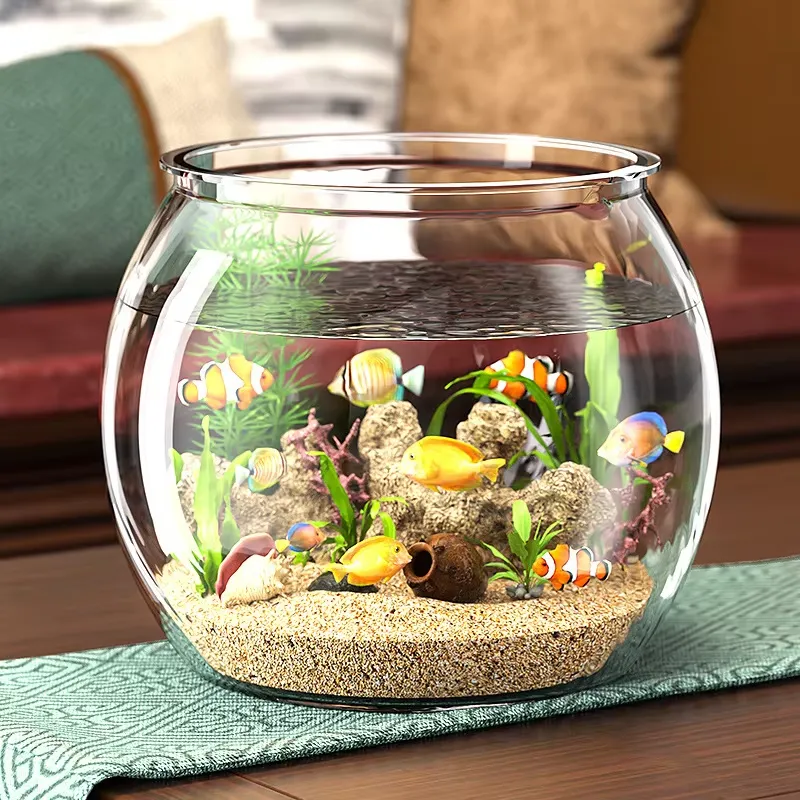 Hochwertiges Kompaktes Klarsic – Planted Aquarium For Goldfish Bewertung und Preis