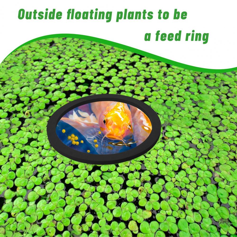 Schwimmring aus Eva-Schaum für – Planted Aquarium For Goldfish Bewertung und Preis