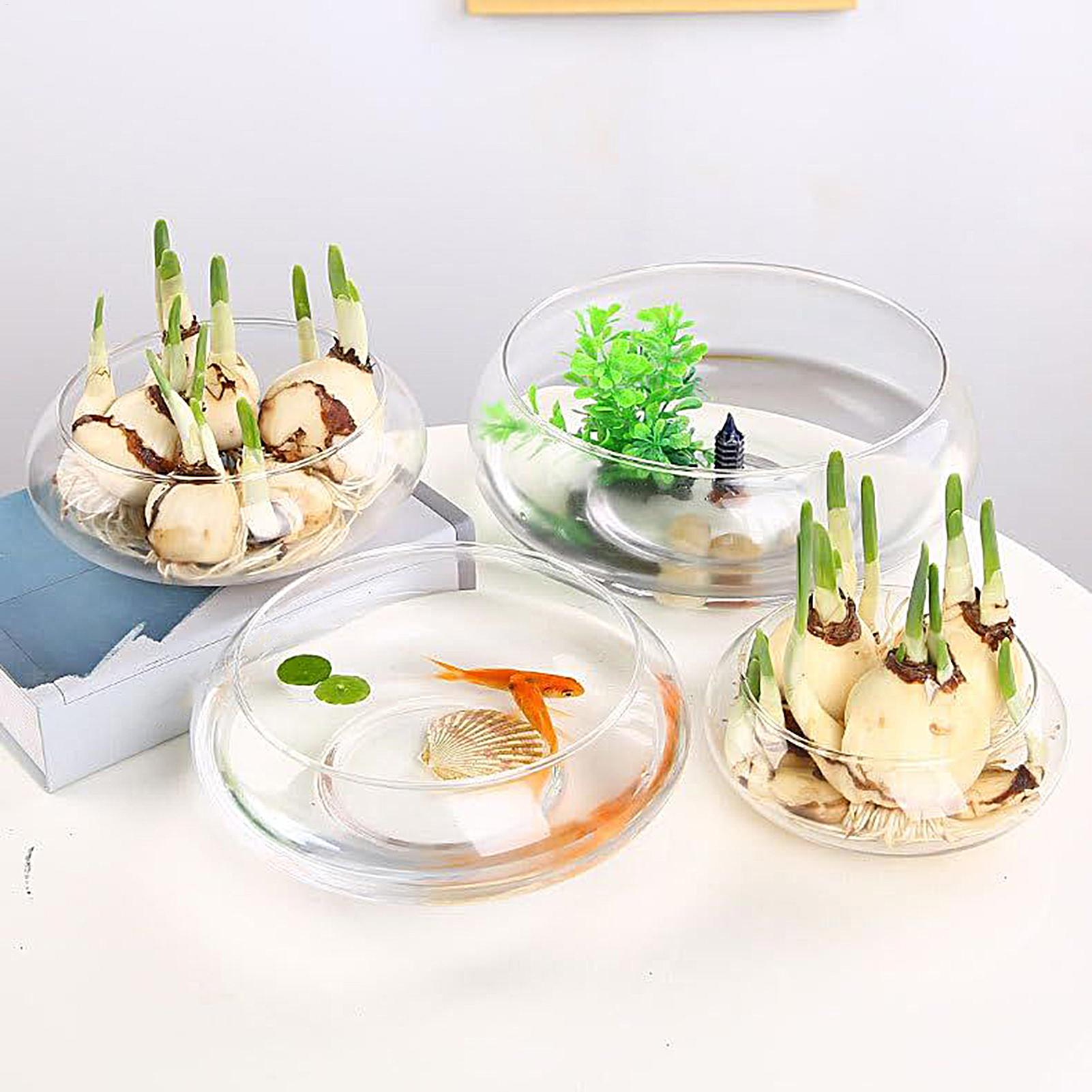 Fischglasbehälter Großer Hydro – Planted Aquarium For Goldfish Bewertung und Preis