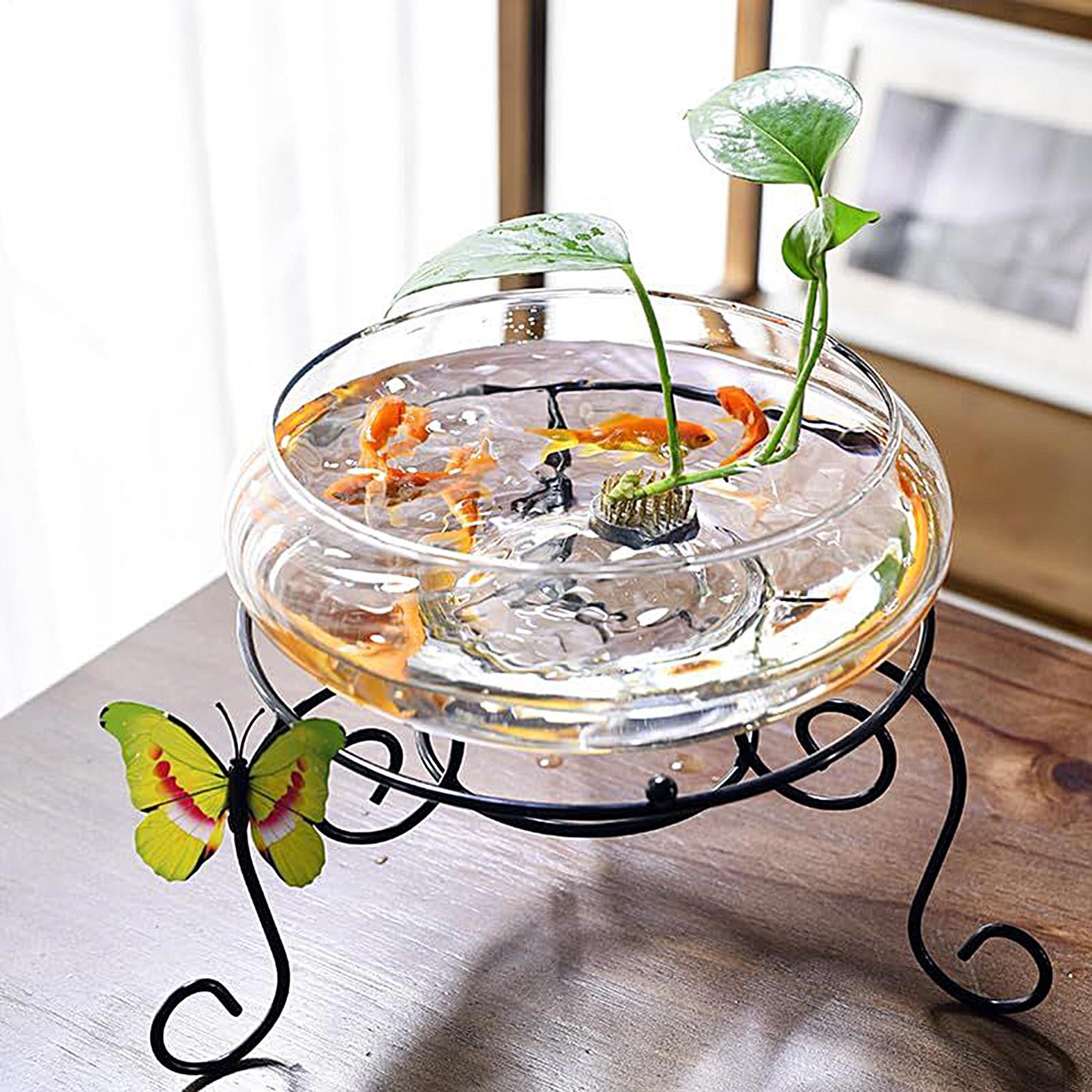 Fischglasbehälter Großer Hydro – Planted Aquarium For Goldfish Bewertung und Preis
