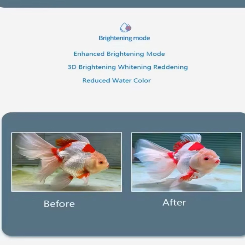 Aquarium-Vollspektrum-LED-Bele – Planted Aquarium For Goldfish Bewertung und Preis