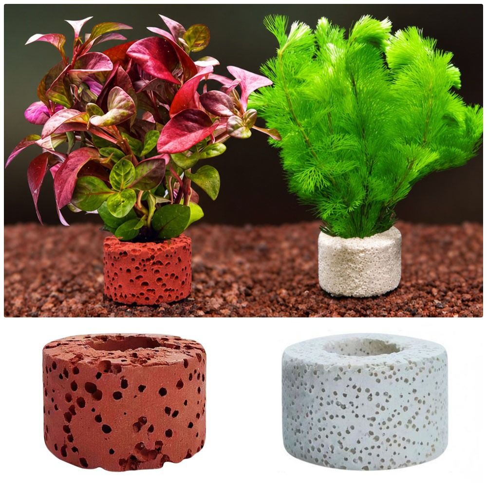 10 Stück Gewichtete Ringe zur  – Planted Aquarium Pictures Bewertung und Preis