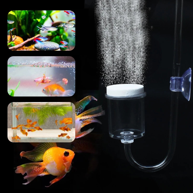 4 stücke Set DIY CO2-Diffusor  – Planted Aquarium Co2 Kit Bewertung und Preis