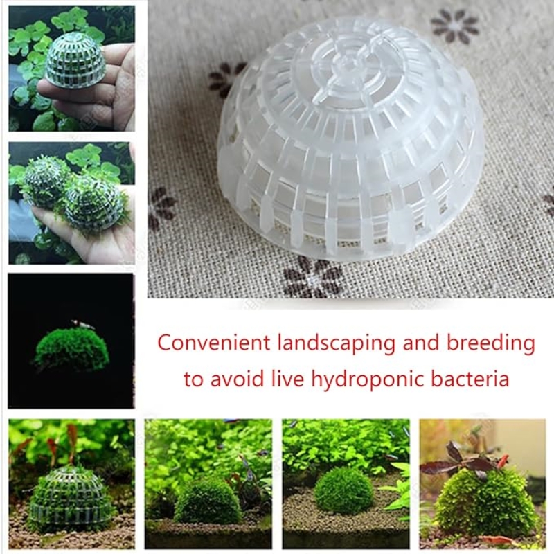 2 Stück Aquarium-Moosball-Halt – Planted Aquarium Models Bewertung und Preis