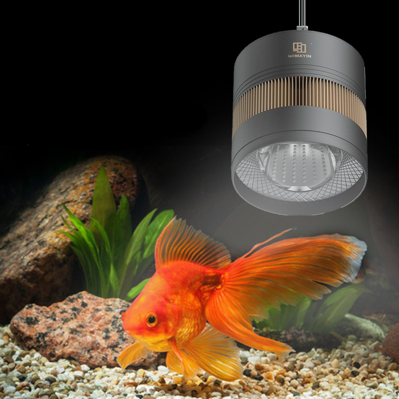 MAYIN Aquarium Vollspektrum Le – Planted Aquarium For Goldfish Bewertung und Preis